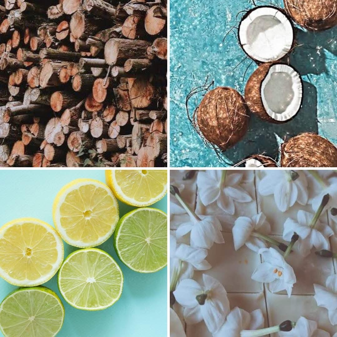 TMLL Luxe Perfume