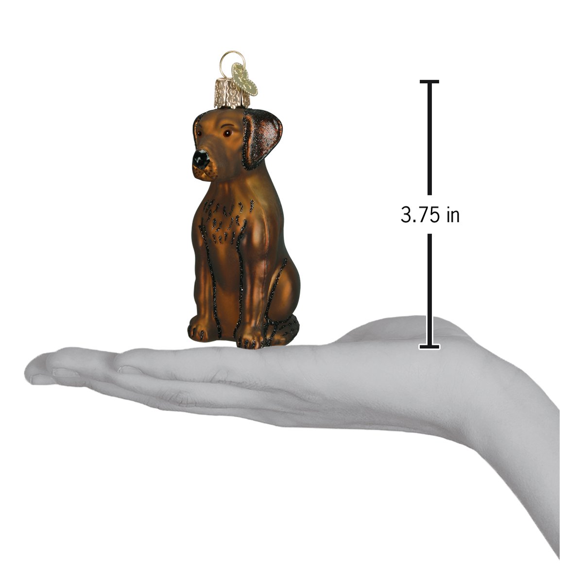 Chocolate Labrador Ornament