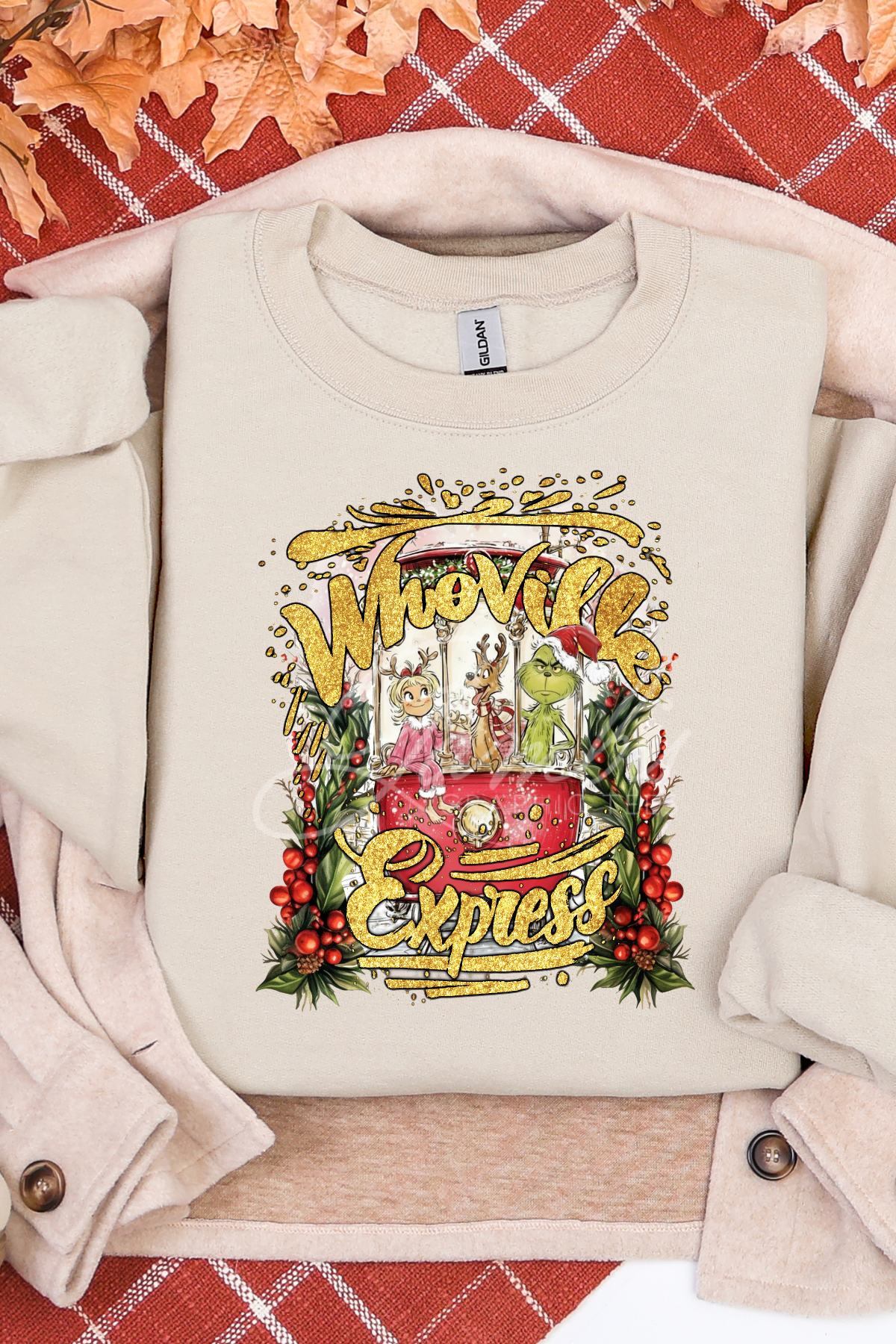 The Train Express Sweatshirt