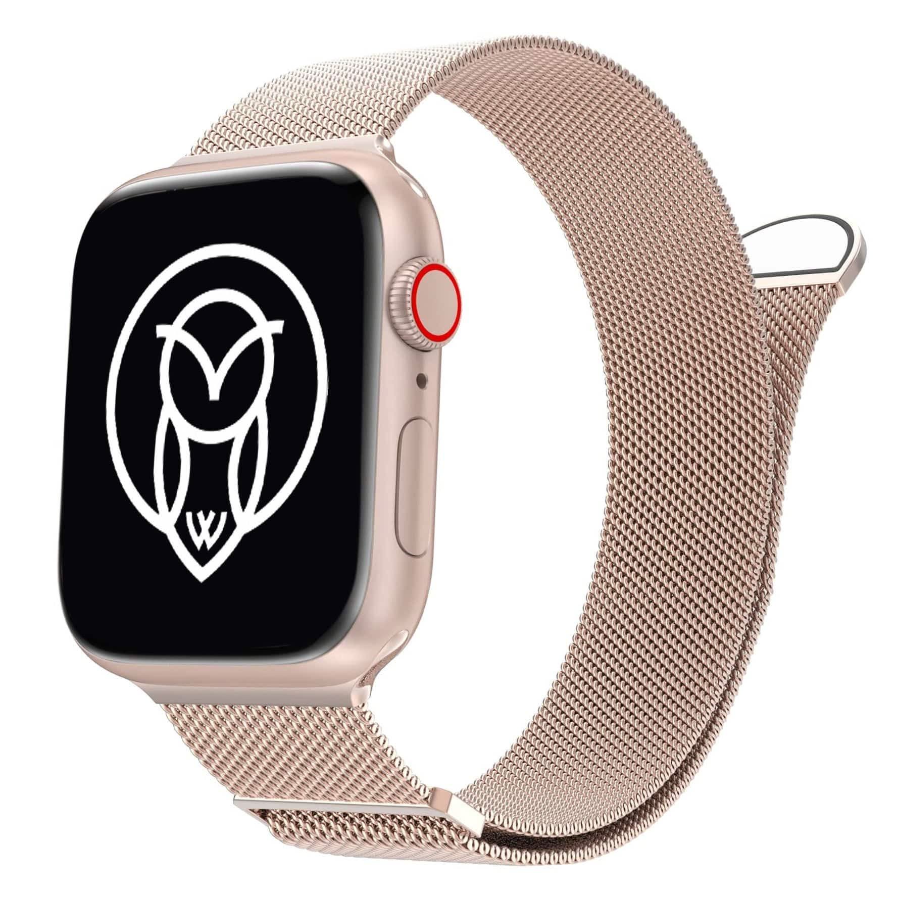 WizeBand Starter Kit