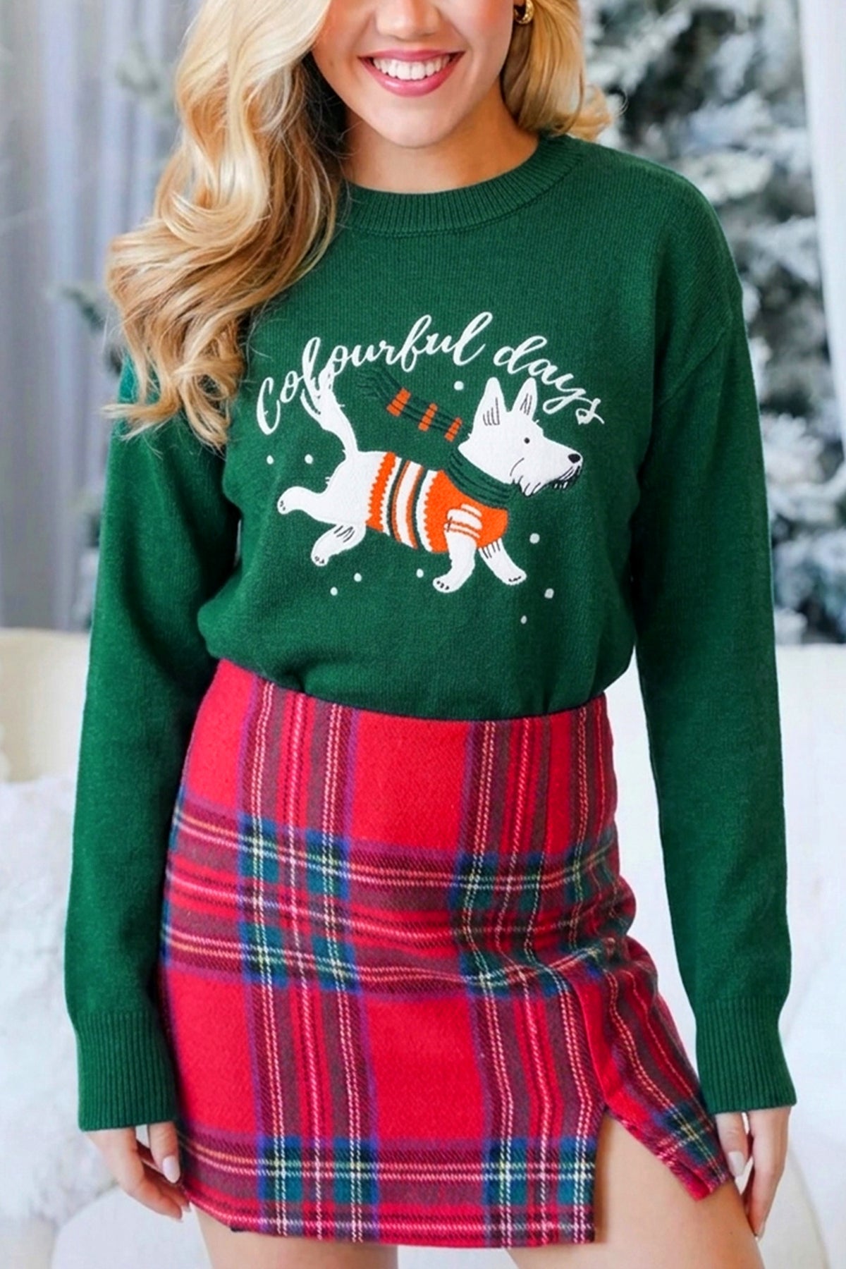PRE-ORDER: Dog Embroidery Christmas Fashion Round Neck Sweater
