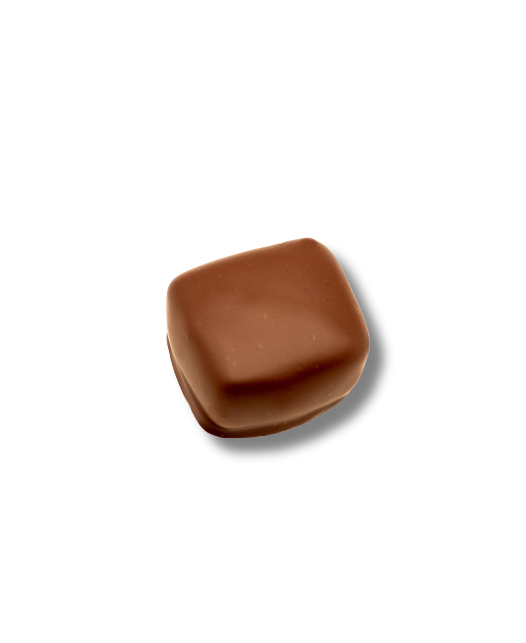 Chocolate Pecan Caramel Cuties Gift Box