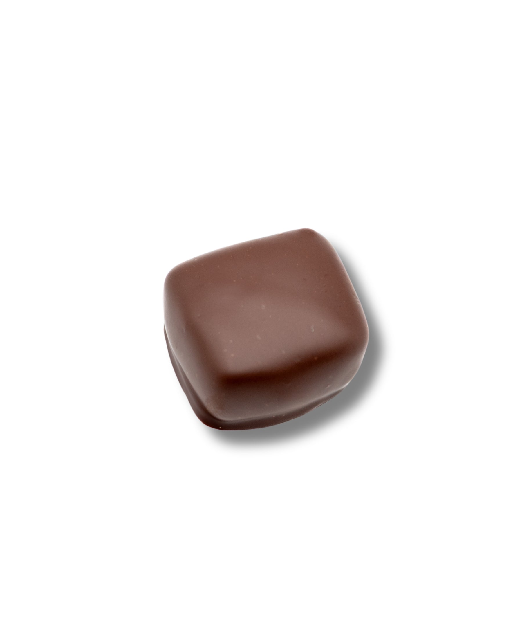 Chocolate Pecan Caramel Cuties Gift Box