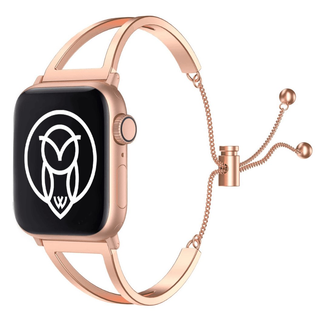 WizeBand Starter Kit