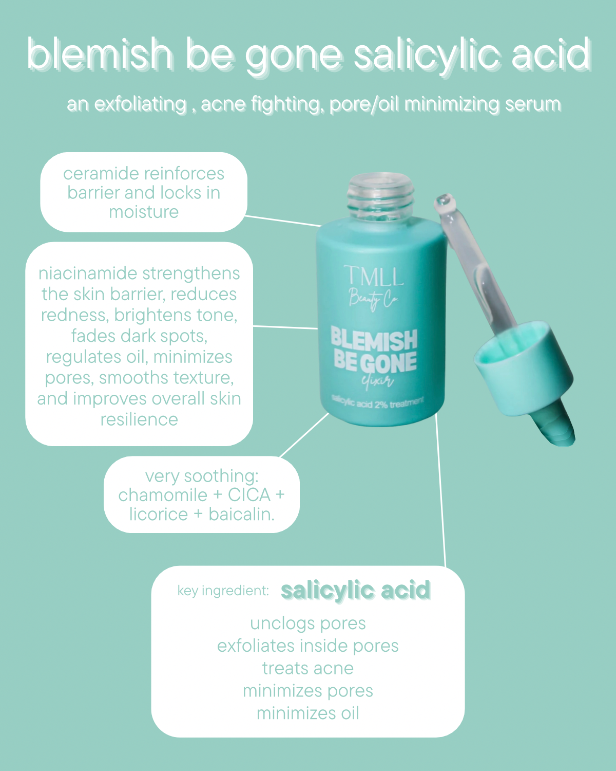 TMLL Skin Candy Blemish Be Gone Salicylic Acid Serum
