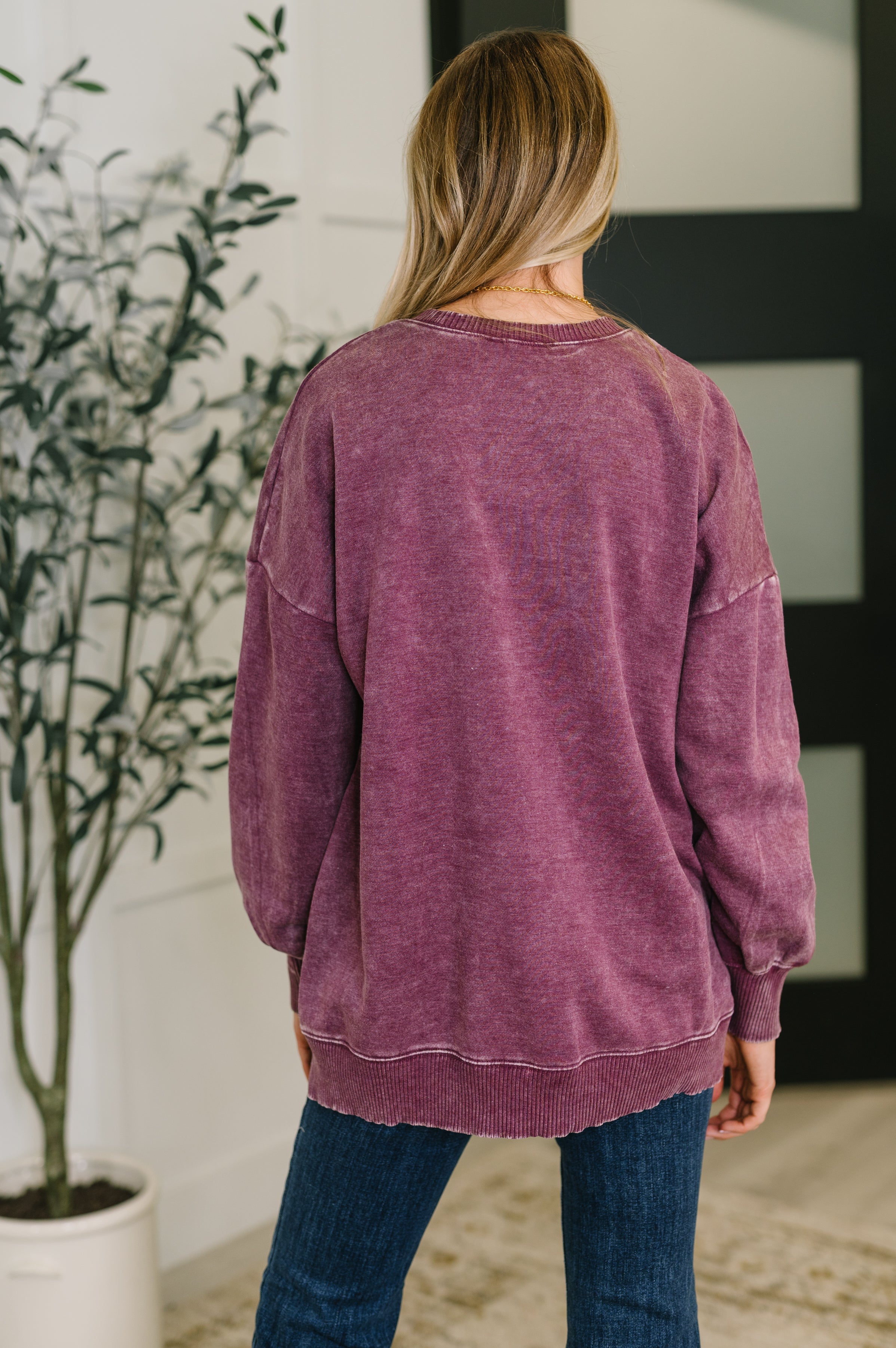Safe and Secure Mineral Wash Pullover in Eggplant