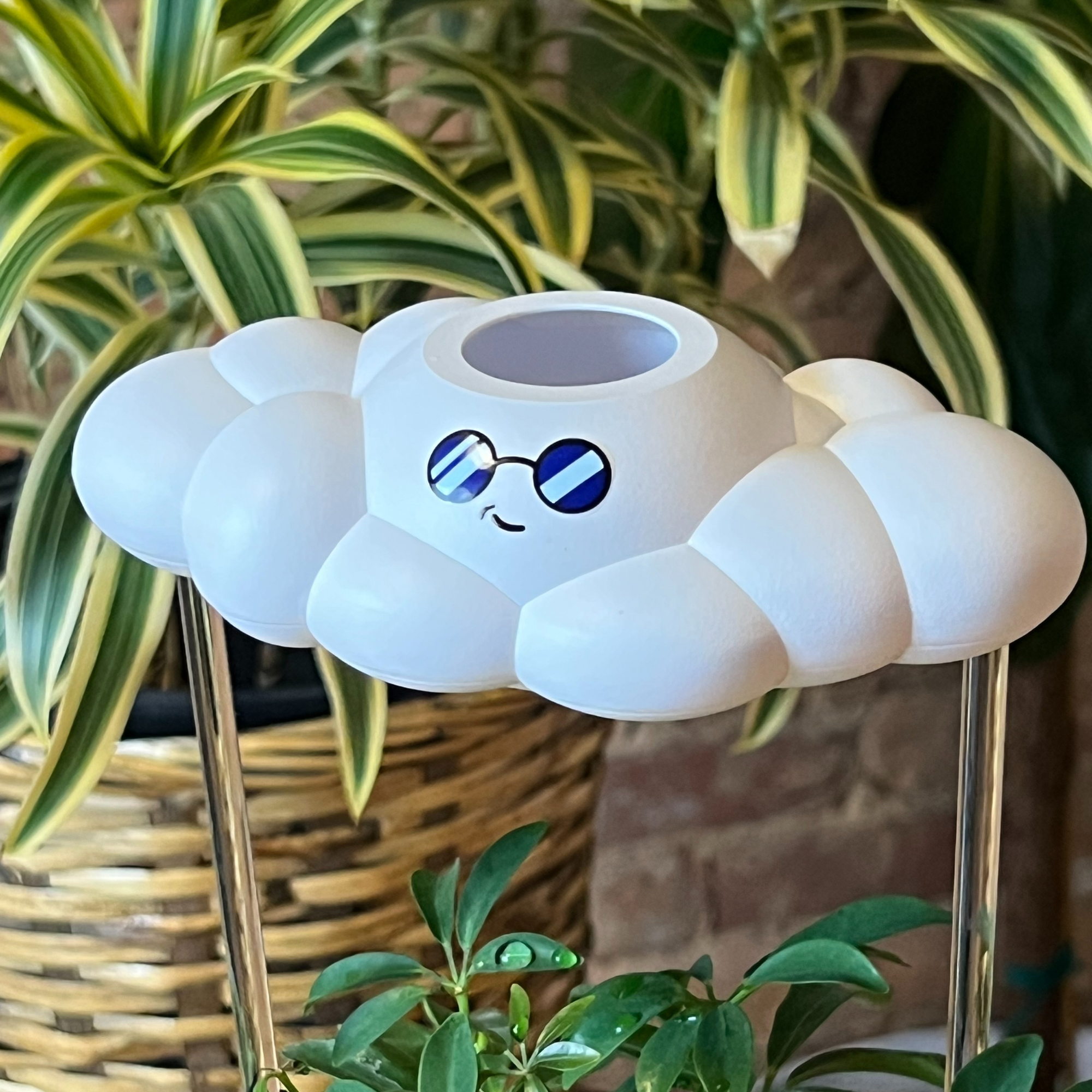 Cooper the Cloud