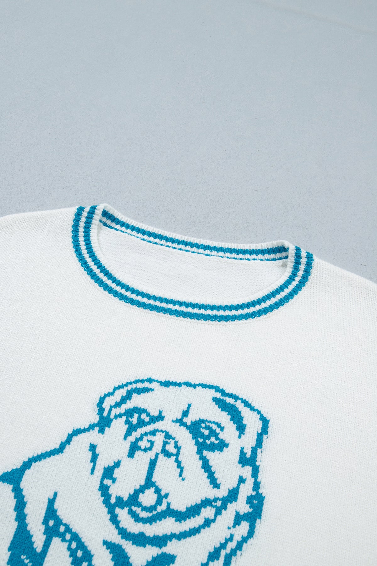 PRE-ORDER: Light Blue Bulldog Contrast Trim Round Neck Casual Sweater