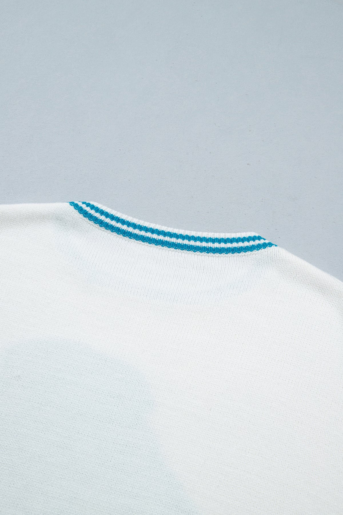 PRE-ORDER: Light Blue Bulldog Contrast Trim Round Neck Casual Sweater