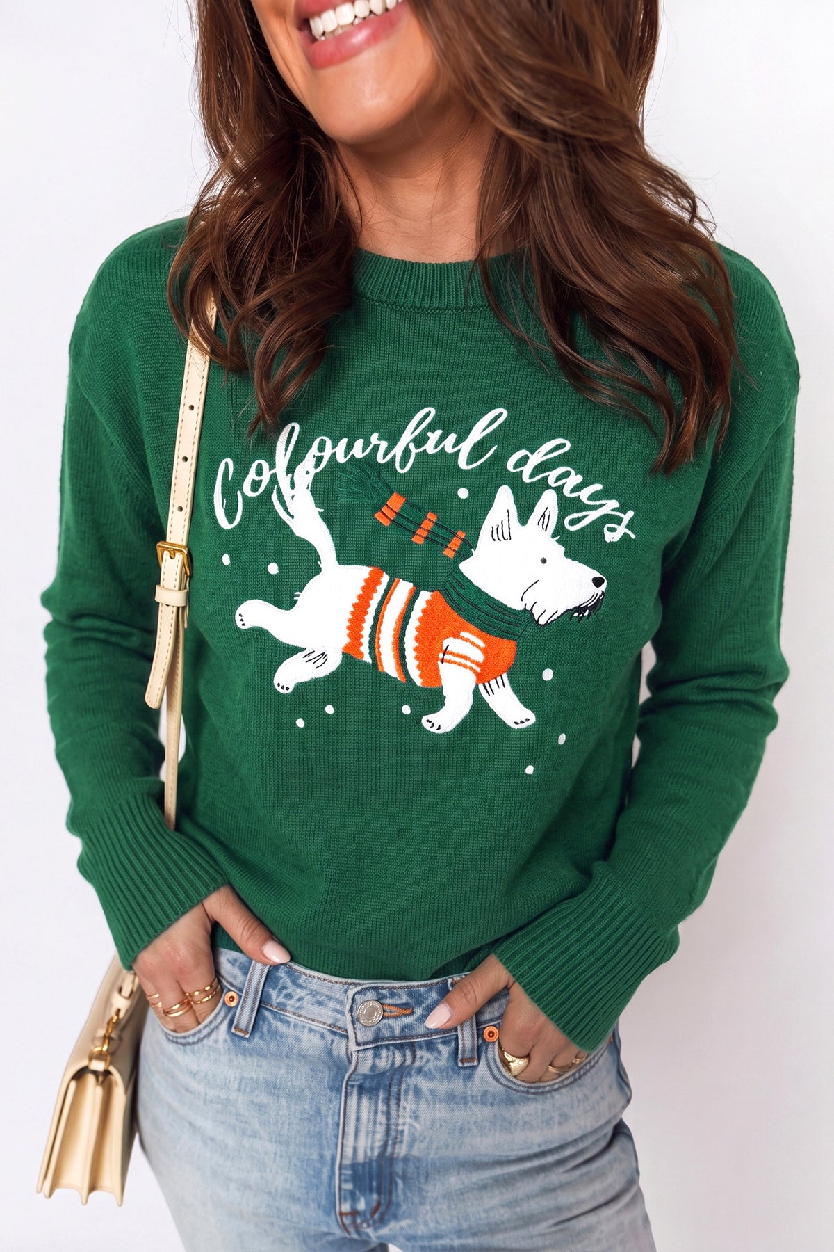 PRE-ORDER: Dog Embroidery Christmas Fashion Round Neck Sweater