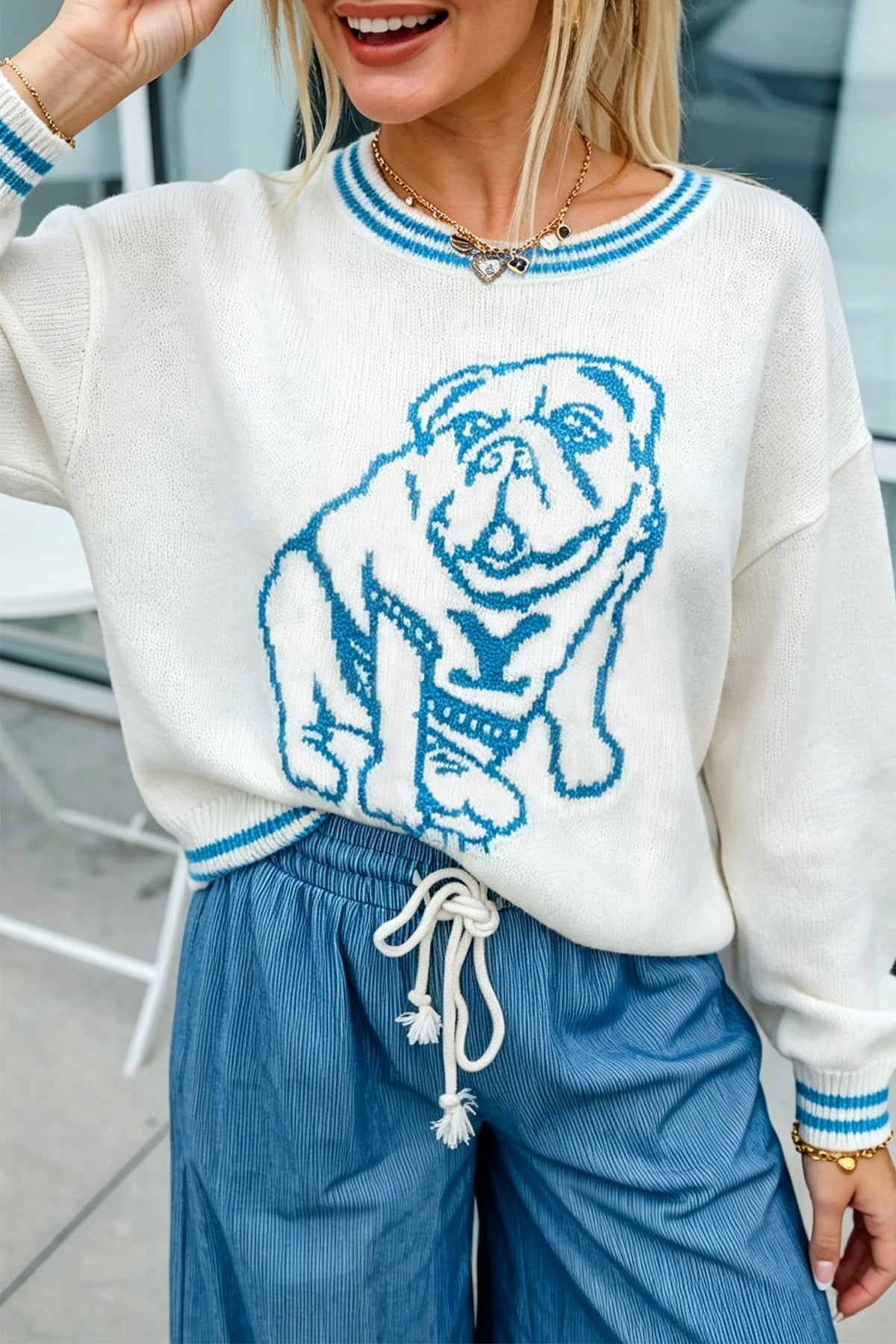 PRE-ORDER: Light Blue Bulldog Contrast Trim Round Neck Casual Sweater