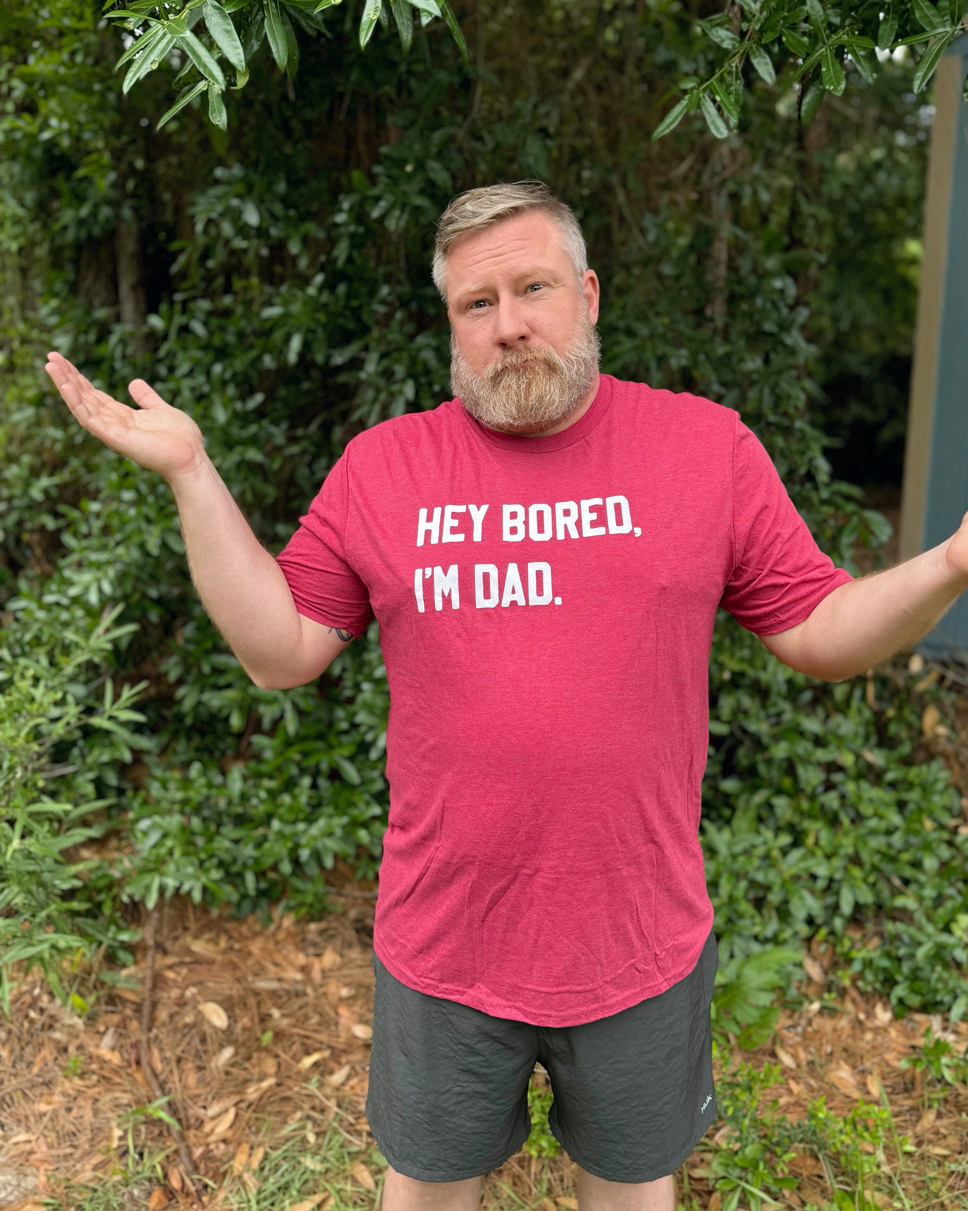 Hey Bored I'm Dad Shirt (Red)