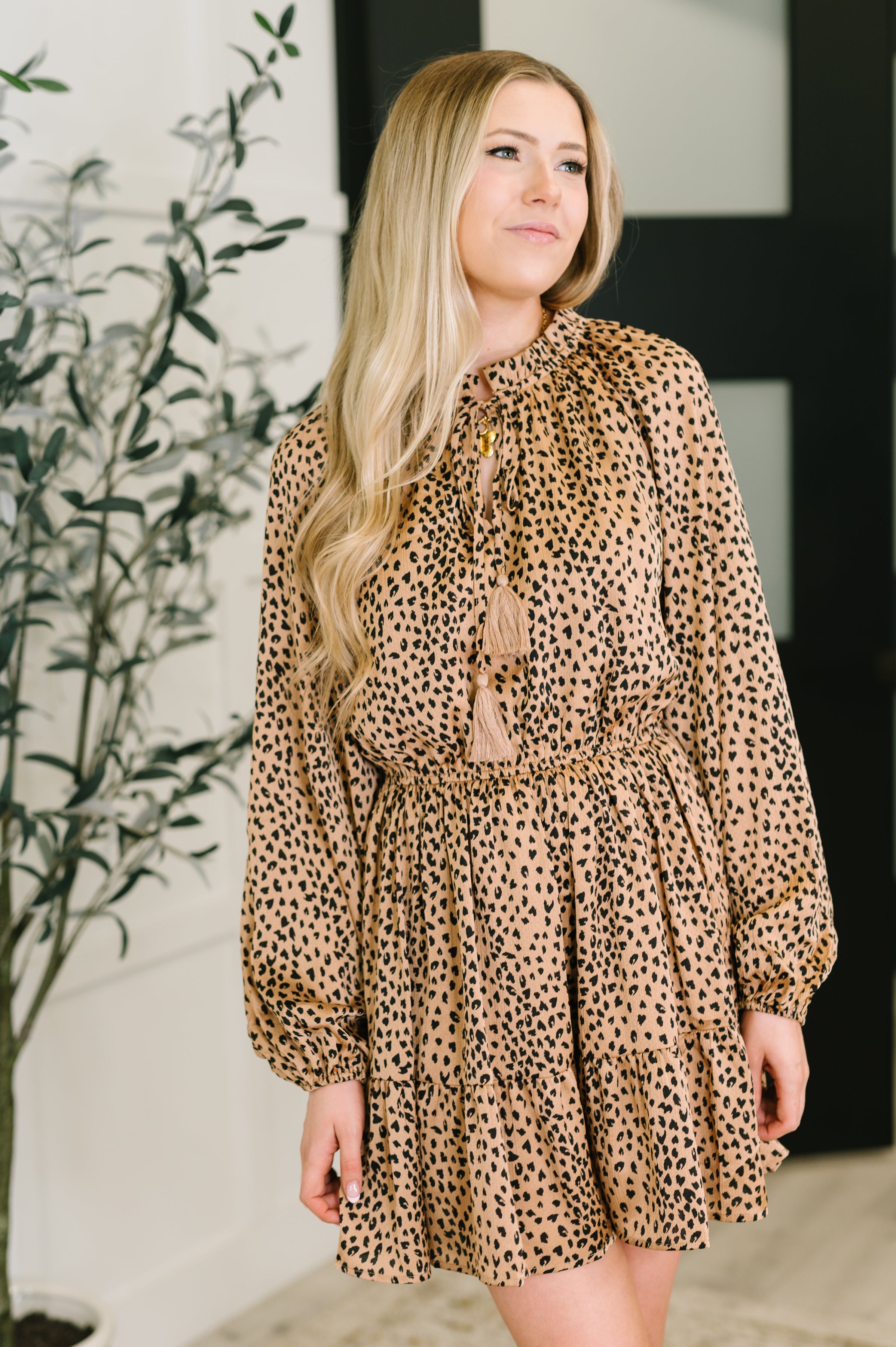 A Cheeky Little Time Tiered Dress