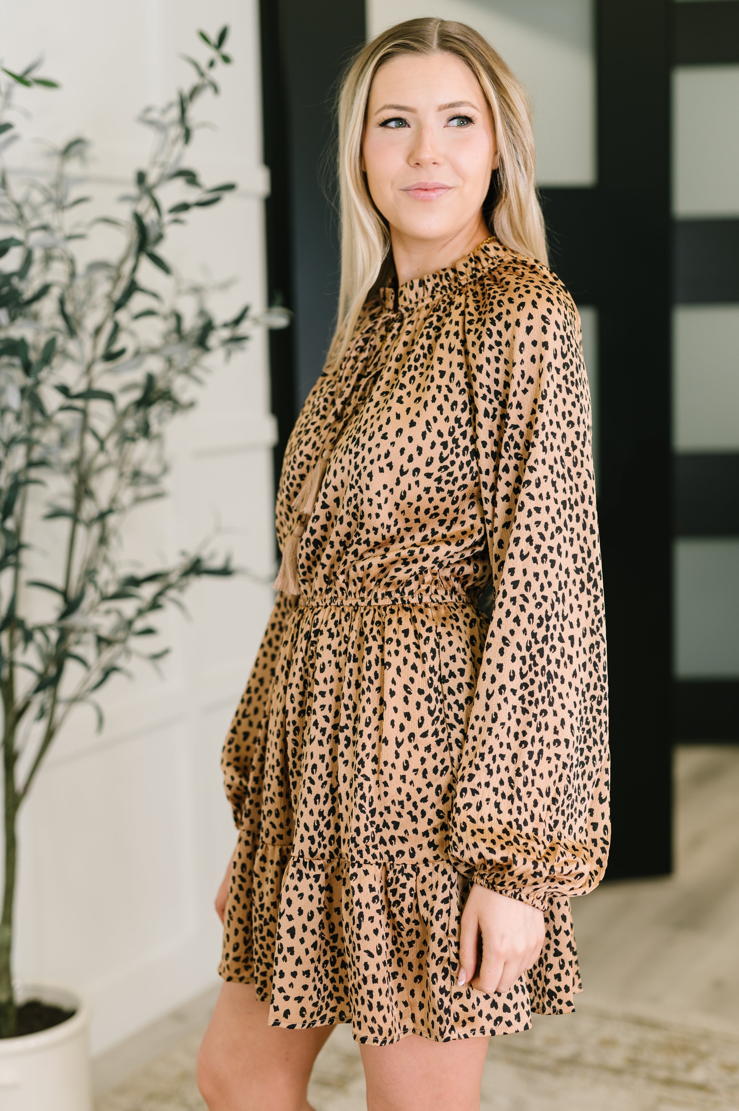 A Cheeky Little Time Tiered Dress