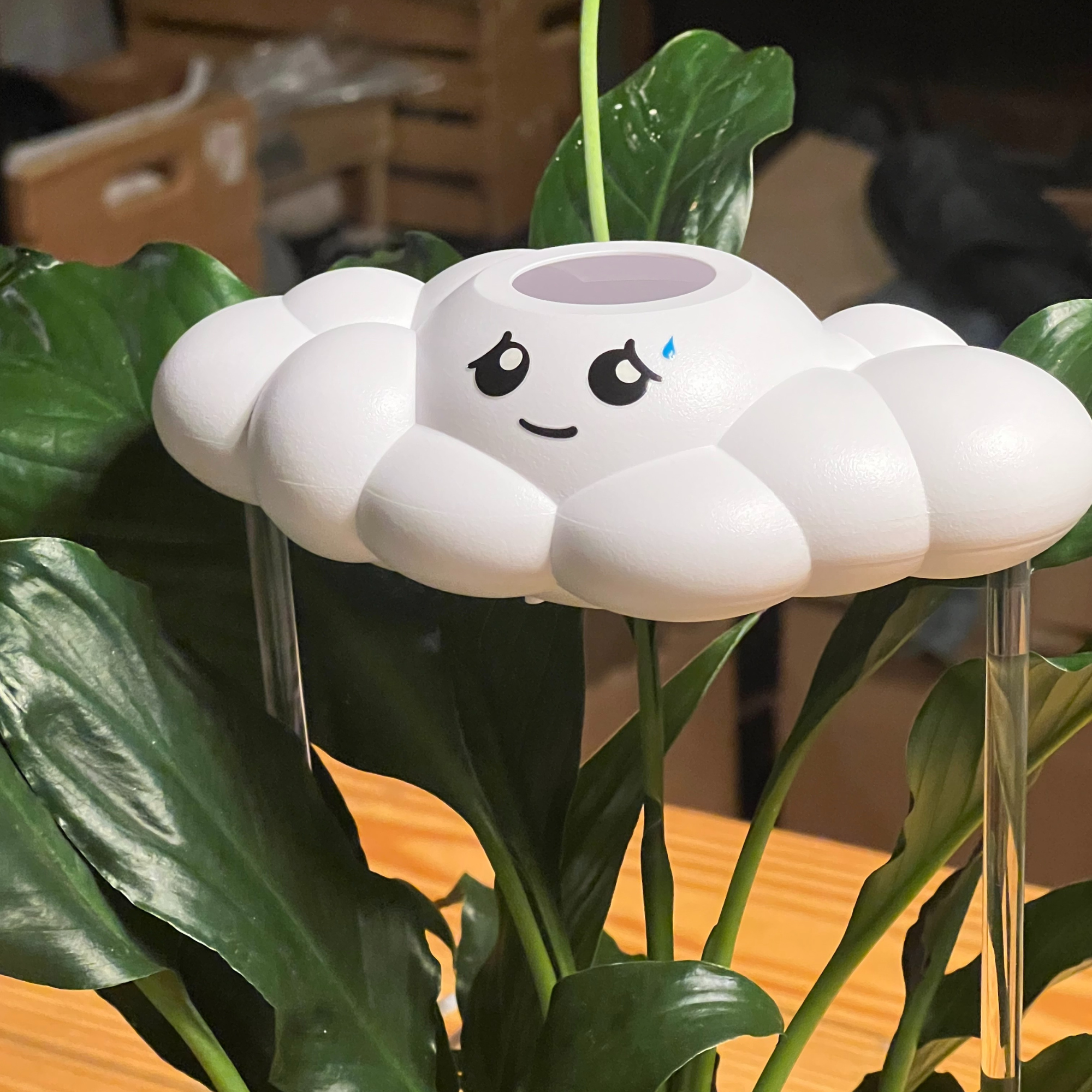 Cory the Cloud