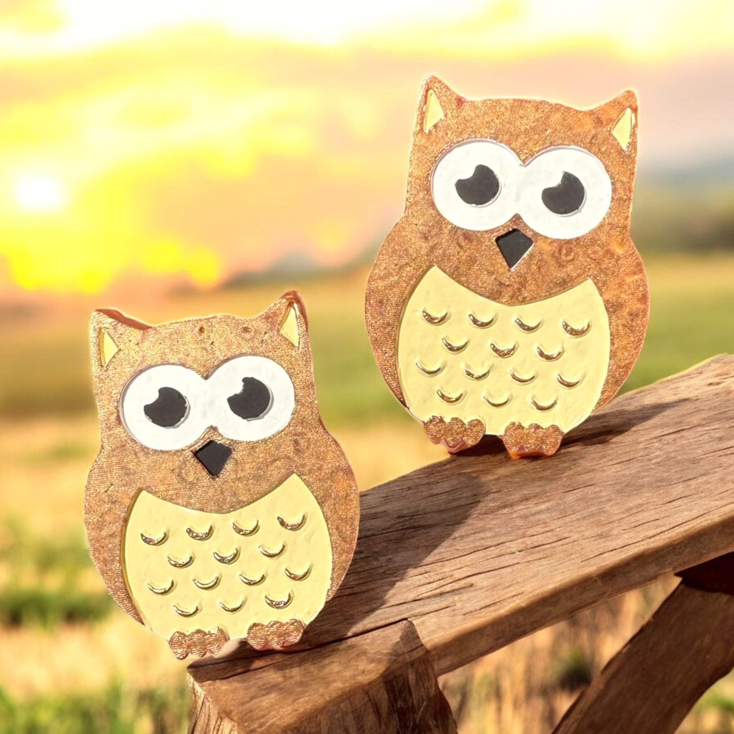 PRE-ORDER: Owl Magnet Set