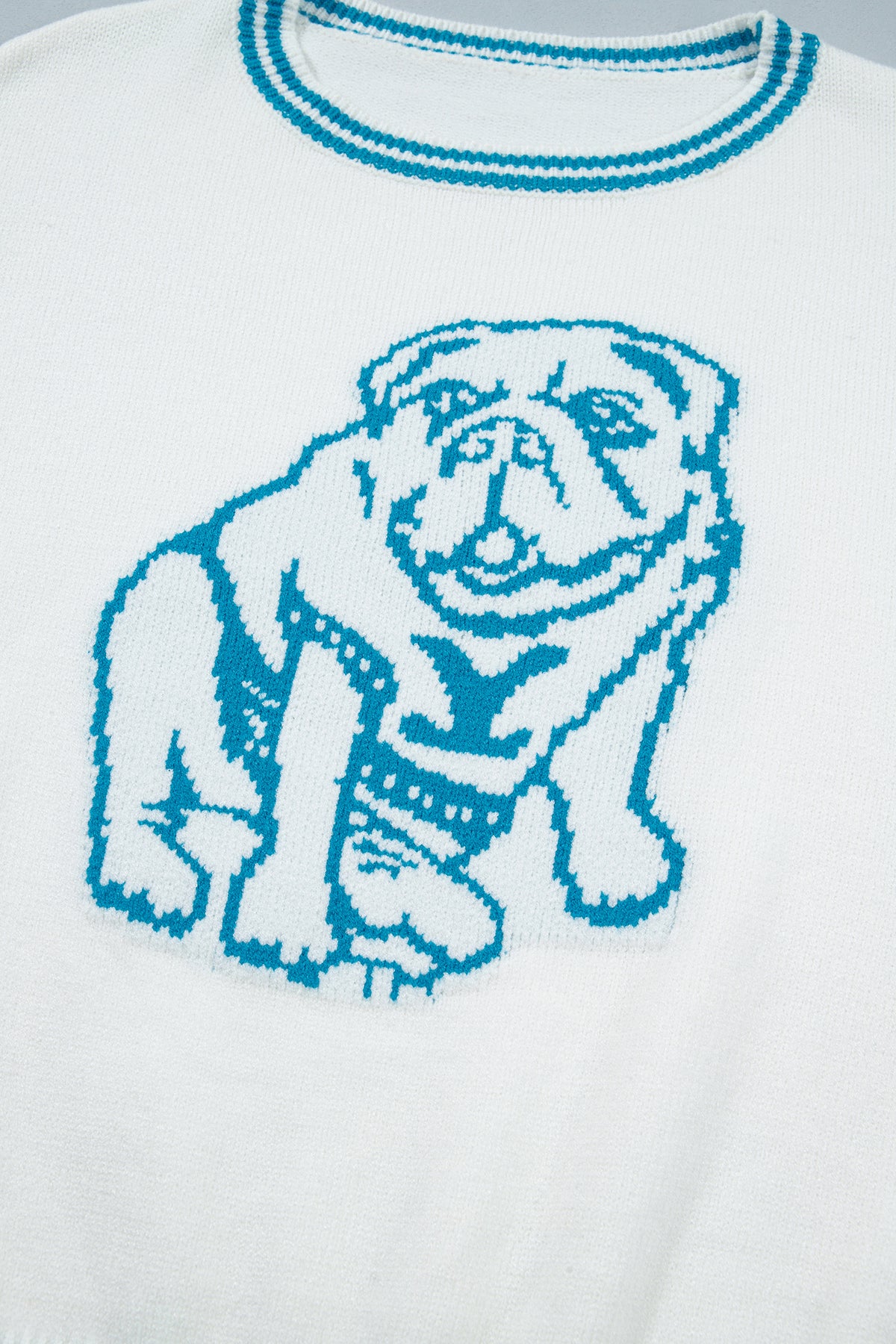 PRE-ORDER: Light Blue Bulldog Contrast Trim Round Neck Casual Sweater