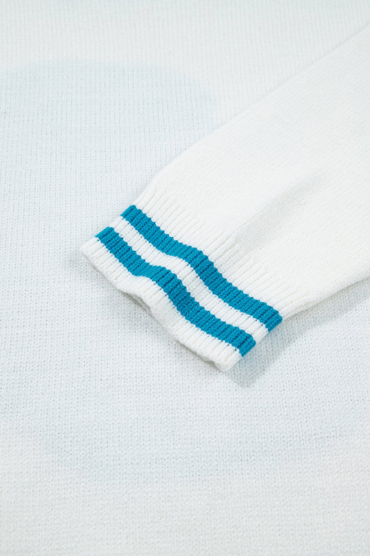 PRE-ORDER: Light Blue Bulldog Contrast Trim Round Neck Casual Sweater
