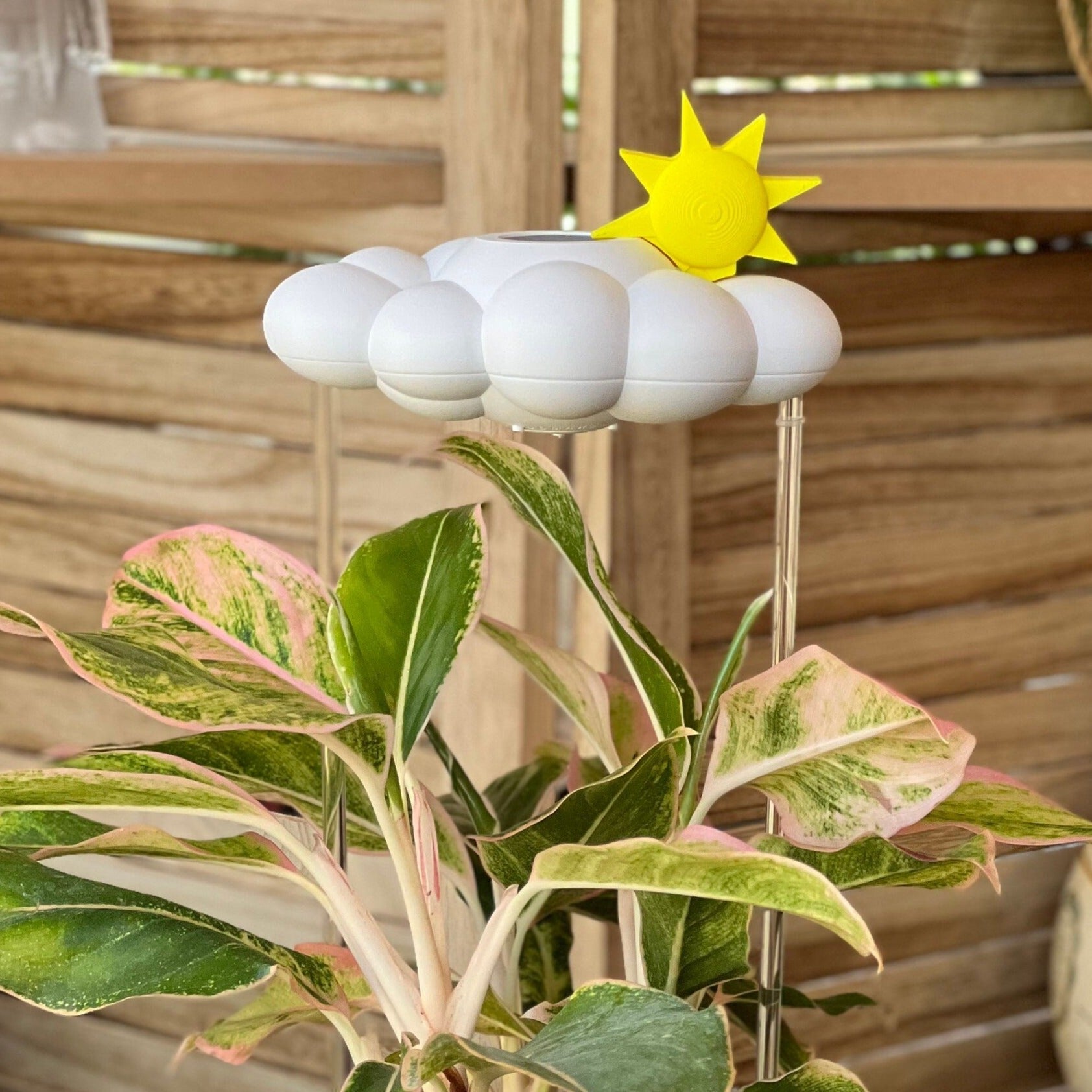 Original Dripping Rain Cloud with Sun Charm