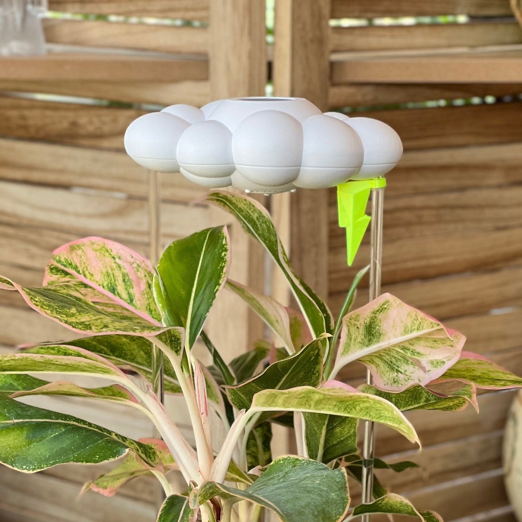 Original Dripping Rain Cloud with Neon Lightning Bolt Charm